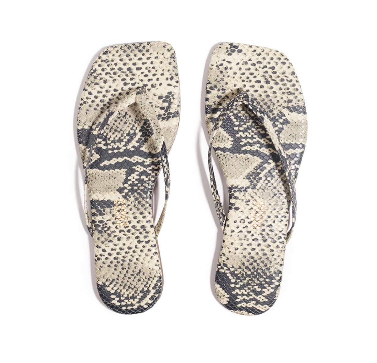 Tkees snake square
