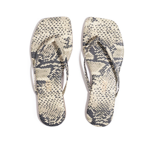 Tkees snake square