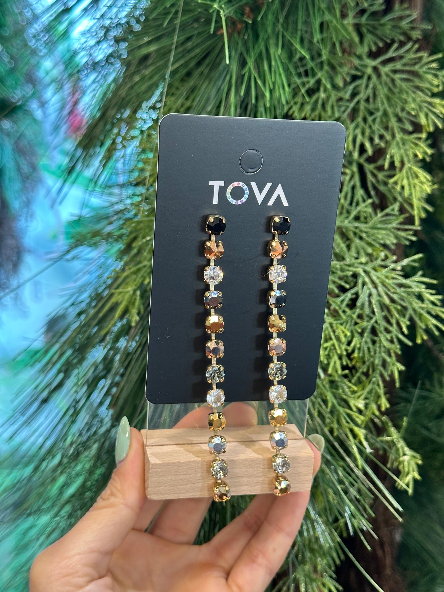 Tova Elegant Long Earrings