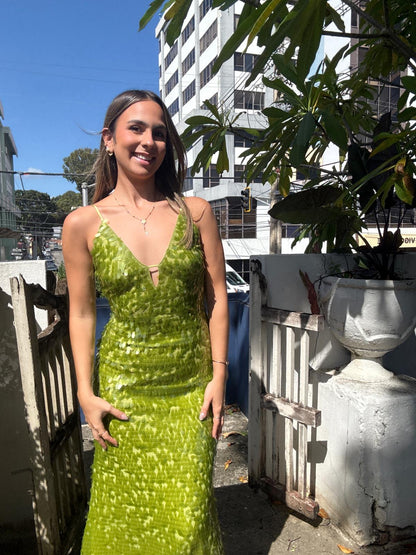 Nana Sequin Dress