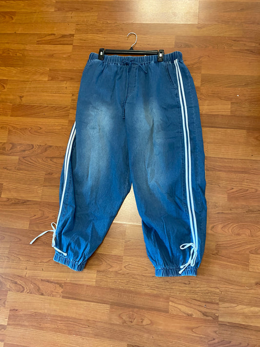 Blue Jogger Plus